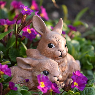 Pasqua, conill de Pasqua, figura, salutació de pasqua, tema de pasqua, osterkarte, bonic, flor, animal, planta amb flors, mamífer, planta, temes d'animals, primer pla, cap gent, representació animal, naturalesa, color rosa, fragilitat, vulnerabilitat, animals domèstics, conill - animal, bellesa a la natura, frescor, un animal, centrar-se en primer pla, representació, cap de flor, 4K, CC0, domini públic, lliure de regalies