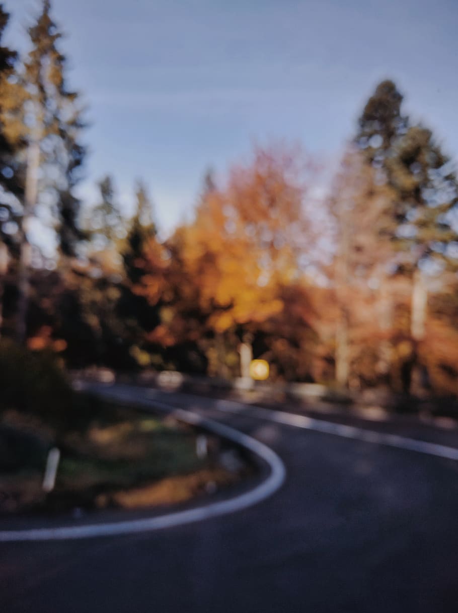 Ventós, carretera, arbres, arbre, bosc, dn1, romania, orașul predeal, borrós, planta, conífera, flora, caure, taronja, bokeh, Carretera bruta, grava, asfalt, manera, paisatge, naturalesa, transport, cap gent, cel, el camí a seguir, tardor, direcció, bellesa a la natura, signe, dia, canvi, tranquil·litat, marcatge de carreteres, marcatge, a l'aire lliure, creixement, carretera buida, 4K