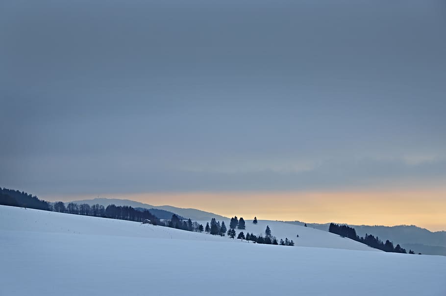 grønne fyrretræer, natur, udendørs, sne, plante, træ, abies, gran, bjerg, vinter, dyr, fugl, is, bygning, sort skov, tårn, Spir, arkitektur, landskab, himmel, kold temperatur, scenics - natur, rolig scene, skønhed i naturen, ro, miljø, solnedgang, ikke-urbane scene, idyllisk, ingen mennesker, dækker, kopiere plads, dag, jord, snedækket bjerg, 5K
