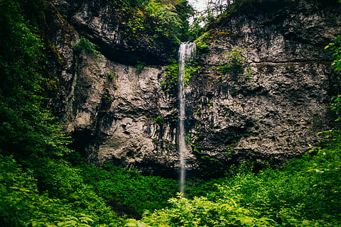 Wasserfälle, Wasserfall, Rock, Cliff, Baum, Wald, tropisch, Fluss, Strom, Natur, draußen, fließen, Bewegung, Abenteuer, Wandern, Wanderung, Weg, Entdeckung, entdecken, Pflanze, Wachstum, grüne Farbe, Land, Schönheit in der Natur, keine Leute, Tag, Ruhe, Kofferraum, Baumstamm, Szenen - Natur, ruhige Szene, Flachwinkelansicht, Nicht-städtische Szene, Laub, üppiges Laub, 5K, CC0, gemeinfrei, lizenzfrei