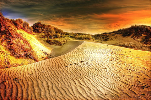 brown, sand, gray, sky, clouds, cloudy, dawn, dramatic, grass, idyllic, sand dunes, scenic, land, scenics - nature, beauty in nature, sunset, tranquility, tranquil scene, nature, cloud - sky, sand dune, landscape, non-urban scene, no people, desert, environment, remote, day, outdoors, climate, arid climate, marram grass, 2K, CC0, public domain, royalty free
