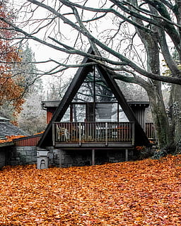 casa entre arbres, edifici, habitatge, casa, casa de camp, arbre, planta, cabina, tronc de l'arbre, stanley park, sòl, refugi, camp, naturalesa, a l'aire lliure, rural, sostre, barana, full, fusta, tardor, estructura construïda, canvi, arquitectura, part de la planta, exterior de l'edifici, dia, cap gent, color taronja, terra, caient, sec, branca, fulles, caure, 2K, CC0, domini públic, lliure de regalies