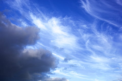 himmel, skyer, Sky, blå himmel, cumulus, blå, kigger op, grå, grå sky, grå skyer, whispy skyer, sky - himmel, skønhed i naturen, natur, scenics - natur, baggrunde, miljø, cloudscape, ingen mennesker, lav vinkel visning, ro, udendørs, dramatisk himmel, dag, humørlig himmel, sollys, atmosfære, vind, meteorologi, klima, 5K, CC0, offentligt domæne, royaltyfrie