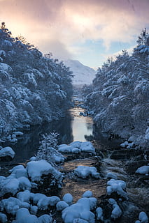 flod og træer, udendørs, is, natur, sne, bjerg, vinter, vand, frost, plante, træ, gletscher, abies, gran, landskab, istap, strøm, bæk, hollandske, skifer, flod, kold temperatur, sky - himmel, himmel, skønhed i naturen, scenics - natur, ingen mennesker, rolig scene, ro, dag, Frosset, miljø, snedækket bjerg, flydende vand, flyder, 5K, CC0, offentligt domæne, royaltyfrie
