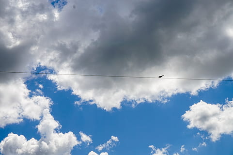hemel, wolken, bewolkt, zomer, zon, zonnig, dag, buiten, buitenshuis, natuur, blauw, prairies, Canada, farm, leuk, foto, afbeelding, vogel, draad, resting, wolk - lucht, lage hoekweergave, geen mensen, gewerveld, dier, vliegend, kabel, dierlijke thema's, schoonheid in de natuur, dierenleven, één dier, dampspoor, dieren in het wild, zonlicht, direct onder, 5K, CC0, publiek domein, royaltyvrij