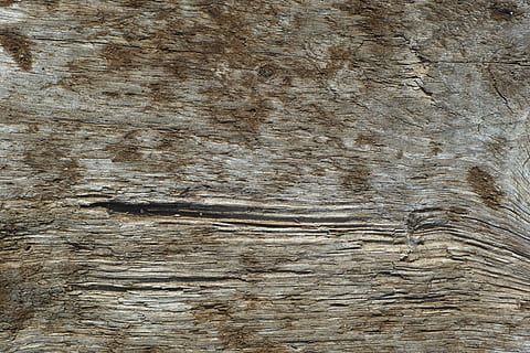 model, textile, wallpaper, summary, old, texture, detail, contemporary, background, macro, abstract, solid, close, no one, flat, wood, backgrounds, textured, full frame, wood - material, pattern, no people, close-up, wood grain, brown, tree, plank, natural pattern, nature, indoors, rough, tree trunk, day, textured effect, 4K, CC0, public domain, royalty free