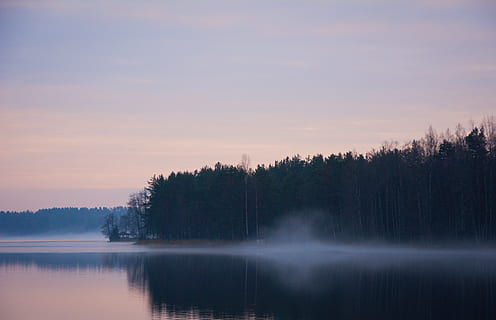 zelené borovice, Příroda, venku, voda, jezero, mlha, nebe, svítání, rostlina, strom, krajina, západ slunce, moře, oceán, abies, jedle, počasí, les, mraky, jaro, zimní, scenics - příroda, krása v přírodě, klid, klidné scény, odraz, mimoměstské scény, nikdo, idylický, nábřeží, odraz jezero, 5K, CC0, veřejná doména, bez autorských práv