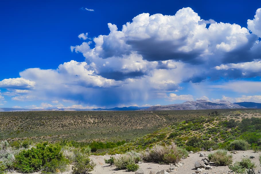 Vall de la Mort, desert, sec, pluja, naturalesa, paisatge, planta, Parc Nacional, idíl·lic, karg, cel, núvols, estiu, panorama, vista, núvol - cel, escenics - natura, medi ambient, bellesa a la natura, escena tranquil·la, terra, tranquil·litat, escena no urbana, dia, cap gent, muntanya, camp, remot, creixement, herba, a l'aire lliure, semiàrid, clima àrid, clima, 4K