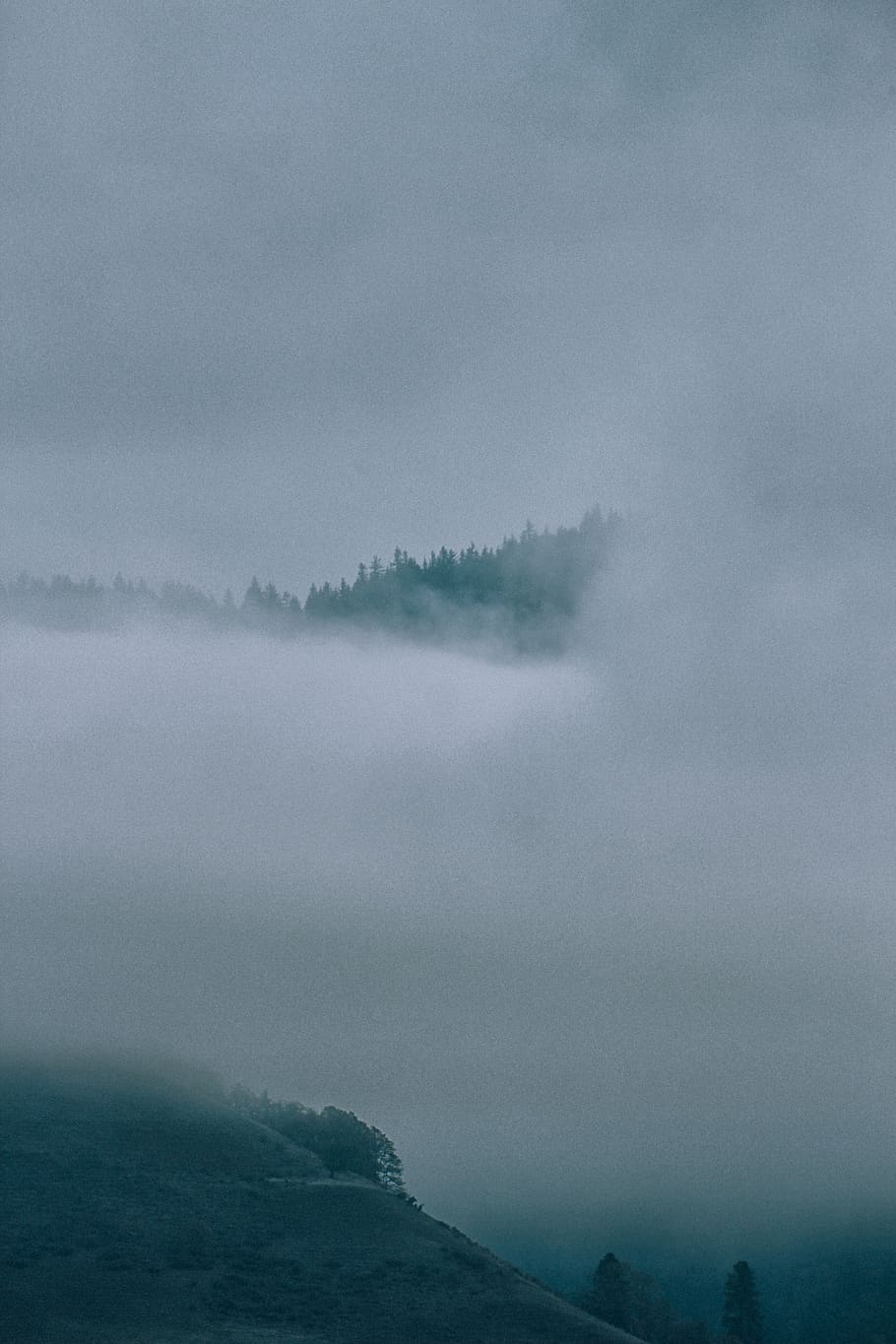 núvols que cobreixen arbres, boira, núvol, Estats Units, Sender del sender de muntanya, vora del mar, naturalesa, temps, a l'aire lliure, paisatge, amagat, eery, bosc, oregon, arbre, Costa, vessant, canviant d'humor, cel, bellesa a la natura, núvol - cel, escena tranquil·la, escenics - natura, tranquil·litat, cap gent, dia, escena no urbana, aigua, idíl·lic, muntanya, medi ambient, remot, nebulós, 5K