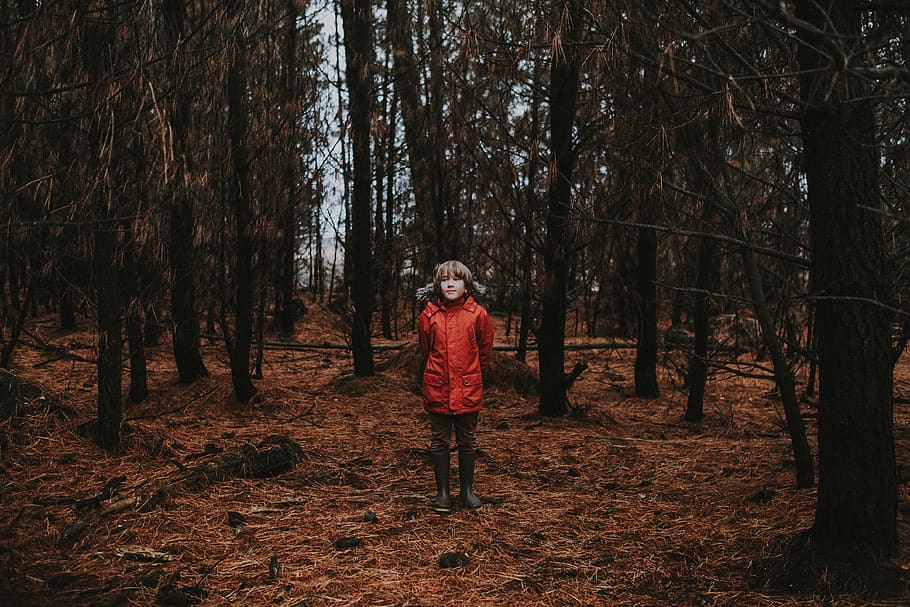 jongen, staand, Bos, kleding, grond, menselijk, persoon, fabriek, boom, jas, natuur, land-, buitenshuis, bos-, vegetatie, bosje, kap, weg, zandweg, grind, echte mensen, een persoon, levensstijlen, volledige lengte, vrijetijdsbesteding, romp, boomstam, groei, dag, wandelen, niet-stedelijke scène, kalmte, warme kleding, 4K
