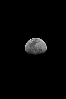 illustration de la lune grise, lune, espace, nuit, astronomie, ciel, beauté dans la nature, paysages - nature, faible angle de vue, tranquillité, lune planétaire, espace de copie, personne, la nature, idyllique, surface de la lune, scène tranquille, ciel clair, foncé, en plein air, majestueux, astrologie, pleine lune, espace et astronomie, clair de lune, 4K, CC0, domaine public, libre de droits