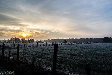 sunrise, fields, white, orange, air, trees, forest, belgium, winter, autumn, nikon, alternateskate, sky, landscape, field, cloud - sky, tranquility, tranquil scene, land, scenics - nature, environment, sunset, no people, nature, beauty in nature, plant, boundary, fence, barrier, grass, non-urban scene, tombstone, post, outdoors, wooden post, 4K, CC0, public domain, royalty free