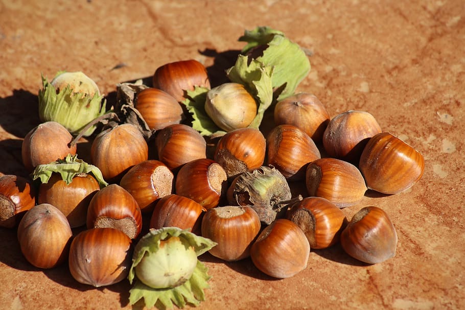 alune de padure, căprui, toamnă, nuci, fruct, natură, maro, mancare si bautura, alimente, prospeţime, bunăstare, vegetal, mâncat sănătos, grup mare de obiecte, nici o persoana, natură moartă, a închide, ceapă, nuca, piuliță - mâncare, zi, în interior, abundenţă, vedere în unghi mare, ingredient, castan - alimente, 5K