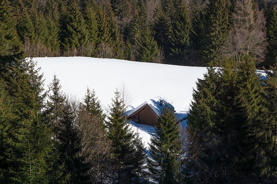 zimní, krajina, chata, les, glade, sníh, stromy, strom, rostlina, růst, nikdo, krása v přírodě, den, Příroda, architektura, klid, stavba, přistát, zelená barva, scenics - příroda, klidné scény, venku, exteriér budovy, mimoměstské scény, hora, vysoký úhel pohledu, borovice, jehličnatého stromu, 2K