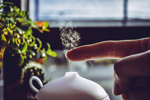 คน, วาง, นิ้ว, หมอก, ใกล้ชิด, สี, diffuser, มือ, ในบ้าน, ปลูก, การผ่อนคลาย, มือมนุษย์, ส่วนหนึ่งของร่างกายมนุษย์, คนคนหนึ่ง, โฮลดิ้ง, มุ่งเน้นไปที่เบื้องหน้า, ส่วนของร่างกาย, วัน, คนจริง, อาหารและเครื่องดื่ม, หน้าต่าง, นิ้วของมนุษย์, ธรรมชาติ, บุคคลที่ไม่รู้จัก, ไลฟ์สไตล์, 5K, CC0, โดเมนสาธารณะ, ค่าลิขสิทธิ์ฟรี