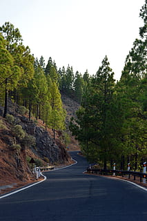 carretera, perspectiva, arbre, turó, Ventós, Camí, interminable, reialesa, planta, transport, direcció, el camí a seguir, cel, naturalesa, cap gent, bellesa a la natura, creixement, dia, tranquil·litat, cel clar, escena tranquil·la, escenics - natura, color verd, a l'aire lliure, perspectiva decreixent, corba, 5K, CC0, domini públic, lliure de regalies
