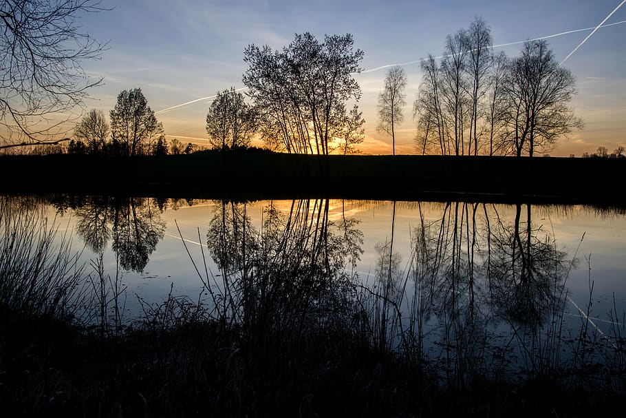oest, sol, arbre, paisatge, crepuscle, naturalesa, tarda, cel, aigua, estany, reflexió, arbres, República Txeca, atmosfera, tranquil·litat, posta de sol, llac, escena tranquil·la, escenics - natura, bellesa a la natura, silueta, planta, idíl·lic, cap gent, escena no urbana, núvol - cel, aigua estancada, arbre nu, a l'aire lliure, llac de reflexió, 5K