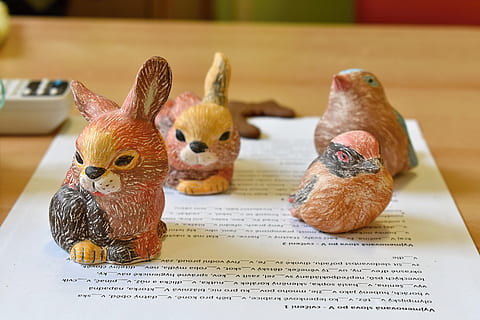 påske, hare, keramikk, dyr, dyre temaer, ingen folk, innendørs, pattedyr, husdyr, gruppe dyr, fokusere på forgrunnen, kjæledyr, nærbilde, innenlands, virveldyr, stilleben, ungt dyr, dyr representasjon, fugl, representasjon, bord, tekst, to dyr, 5K, CC0, offentlig domene, opphavsrett gratis