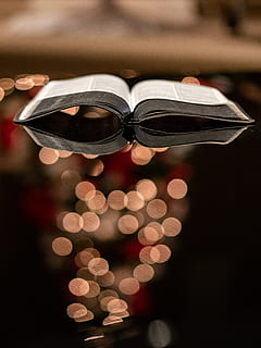 hardbound bog, belyst, jul, fest, ferie, dekoration, nat, ingen mennesker, tæt på, fokus på forgrunden, indendørs, sløret, begivenhed, træ, juledekoration, julelys, juletræ, belysningsudstyr, form, lys, 4K, CC0, offentligt domæne, royaltyfrie
