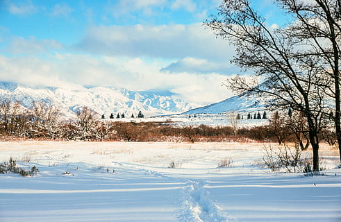 Skov, bjerge, dækket, sne, blå, skyer, kold, frost, is, isnende, himmel, snefnug, snedækket, træer, vejr, udjævnede, ze, natur, sæson, sæson-, snefald, hvid, vinter, kold temperatur, træ, landskab, scenics - natur, plante, skønhed i naturen, miljø, sky - himmel, bjerg, rolig scene, ro, ingen mennesker, hvid farve, jord, Frosset, udendørs, snedækket bjerg, nåletræ, fyrretræ, fyrreskov, 2K
