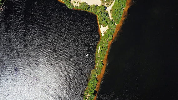 riu dnieper, naturalesa, cap gent, tranquil·litat, bellesa a la natura, escenics - natura, dia, escena tranquil·la, terra, color verd, vista d’angle alt, planta, medi ambient, carretera, paisatge, creixement, a l'aire lliure, escena no urbana, camp, transport, llum solar, 4K, CC0, domini públic, lliure de regalies