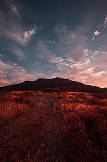 Esplorare, montagna, cielo, nuvole, estate, Malibu, viaggio su strada, nuvola - cielo, bellezza nella natura, scenics - natura, la tranquillità, terra, natura, scena tranquilla, ambiente, campo, paesaggio, scena non urbana, tramonto, un animale, all'aperto, pianta, animale, una persona, temi animali, 4K, CC0, dominio pubblico, privo di copyright