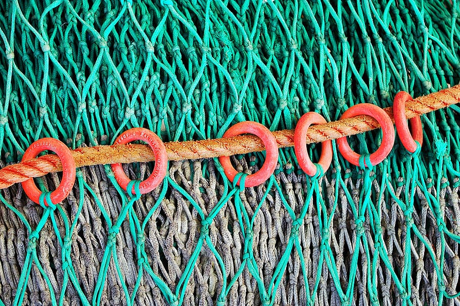corda marró, animal, rèptil, serp, patró, brodats, corda, puntada, nus, teixit, decoració de la llar, Pol · lució, tabac, roba de llit, sobre, correu electrònic, correu aeri, òxid, teixir, tovallola, cap gent, primer pla, metall, aigua, força, dia, marc complet, connexió, color verd, blau, naturalesa, enredat, vermell, xarxa de pesca, complexitat, lligat, multicolor, color turquesa, a l'aire lliure, indústria pesquera, 2K