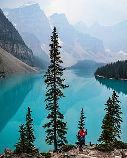 man, standing, pine trees, body, water, conifer, daylight, environment, evergreen, forest, high angle shot, lakeside, landscape, majestic, mountain, nature, nature photography, nature wallpaper, park, person, reflection, scenery, scenic, trees, winter, tree, beauty in nature, scenics - nature, plant, tranquil scene, lake, mountain range, tranquility, real people, day, leisure activity, men, non-urban scene, idyllic, people, outdoors, 4K, CC0, public domain, royalty free