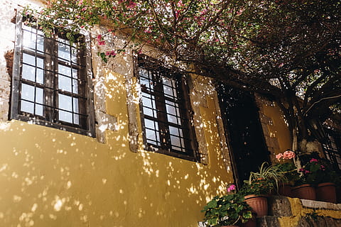 blanco, marrón, hormigón, edificio, árbol, arquitectura, perspectiva, ventanas, planta, exterior del edificio, estructura construida, ventana, flor, naturaleza, planta floreciendo, crecimiento, casa, belleza en la naturaleza, Distrito residencial, día, luz del sol, nadie, al aire libre, vista de ángulo bajo, invierno, 4K, CC0, dominio público, libre de derechos