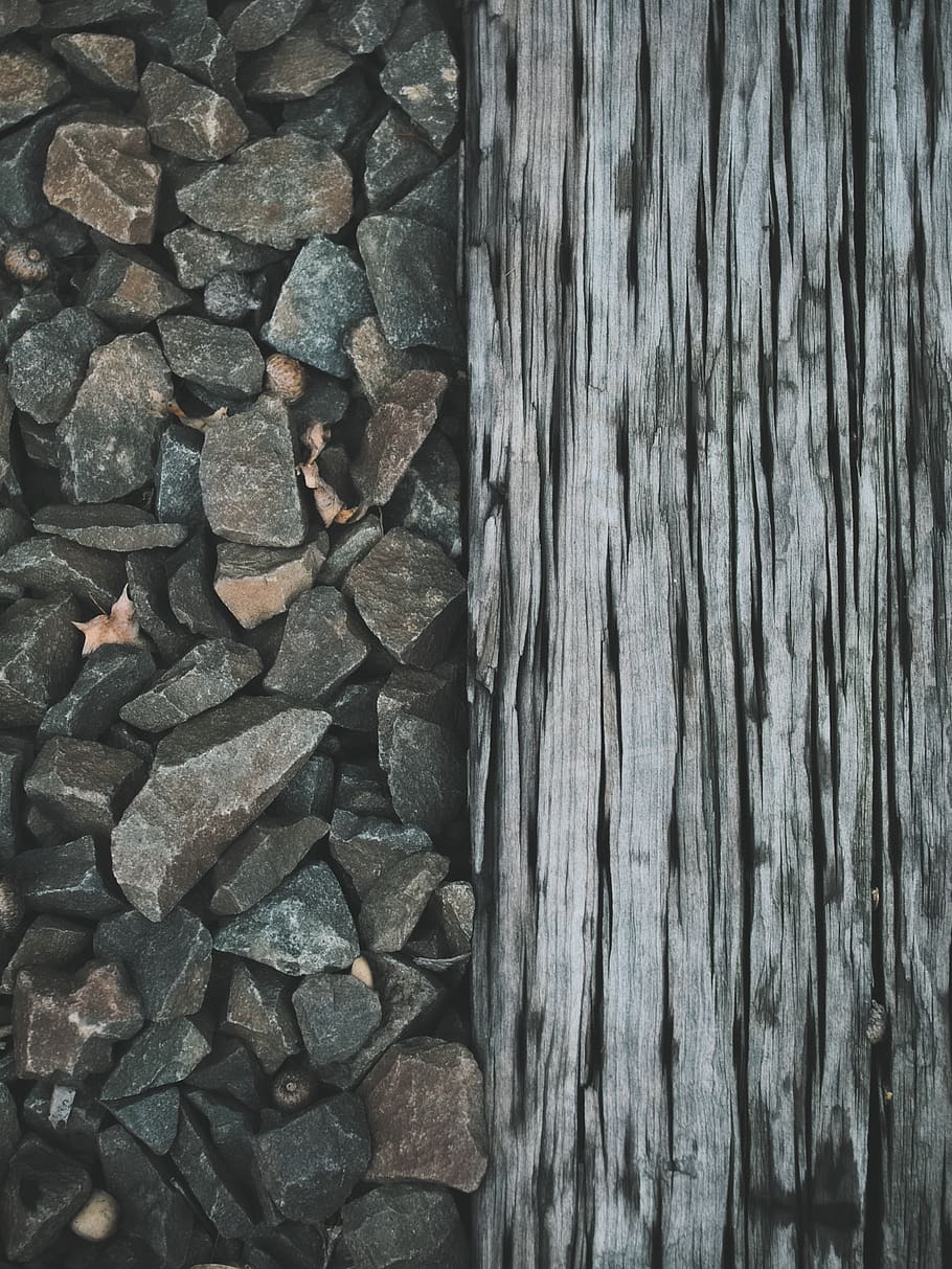 Camí, paviment, llambordes, passarel·la, vorera, Estats Units, Fairfield County, fusta, rock, runes, llosa, textura, fons, material de fusta, patró, marc complet, cap gent, tronc de l'arbre, tronc, dia, primer pla, arbre, naturalesa, aspre, a l'aire lliure, pedra - objecte, sòlid, abundància, gran grup d'objectes, planta, efecte texturat, escorça, 4K