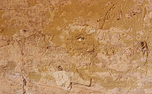 brown soil, ground, soil, texture, wall, brick, rock, rug, mud, archaeology, diagram, map, plot, atlas, limestone, stone wall, plant, agropyron, grass, lawn, fossil, backgrounds, textured, full frame, wall - building feature, built structure, architecture, no people, pattern, rough, weathered, day, old, close-up, outdoors, solid, bad condition, damaged, nature, history, textured effect, 2K, CC0, public domain, royalty free