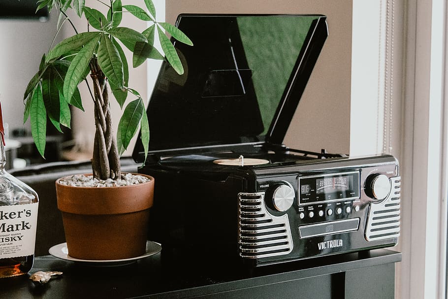 planta, electrònica, olla, pantalla, monitor, full, ràdio, pantalla lcd, flor, centre d’animació, cànem, estèreo, reproductor de cassets, gerani, piano, activitats de lleure, instrument musical, màquina, planta en test, a l'interior, tecnologia, estil retro, taula, cap gent, interior de casa, música, primer pla, naturalesa, part de la planta, comunicació, analògic, natura morta, creixement, finestra, planta d'interior, antiguitat, 5K