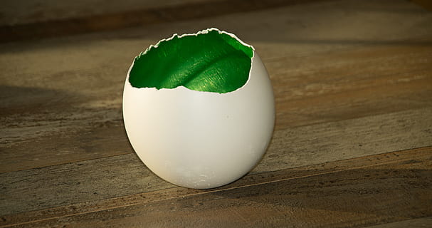 diy, shell, closca d'ou, or, verd blau, Pasqua, fet a mà, concret, vela, candelabro, deco, decoracions de taula, closca de formigó, blanc, shabby chic, color de cera, humor, festiu, vell, art, regal, fàbrica d’artesania, pasatemps, regalar, decoració, aniversari, objecte, salutació, colorit, guix, fes-ho amb la teva petxina, trencat, modern, eclosionat, color, material de fusta, taula, menjar, color verd, menjar i beguda, a l'interior, alimentació saludable, frescor, cap gent, primer pla, benestar, centrar-se en primer pla, natura morta, sol objecte, Color blanc, full, ou, part de la planta, vista d’angle alt, vegetals, menjar japonès, gra de fusta, 4K, CC0, domini públic, lliure de regalies