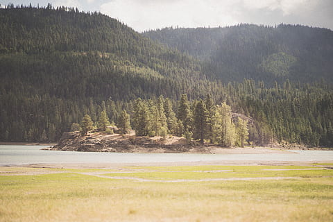 verde, foresta di pini, lago rimrock, stati Uniti, albero, foresta, montagna, alpino, lago, lato lago, yakima, rimrock, isola, Washington, foresta densa, raggio di sole, luce del sole, linea di montagna, Fumo, lato montagna, verde foresta, conifera, pianta, bellezza nella natura, scena tranquilla, crescita, la tranquillità, terra, scenics - natura, nessuno, natura, giorno, ambiente, scena non urbana, colore verde, paesaggio, cielo, acqua, erba, all'aperto, Pino, albero di conifere, bosco di pini, 5K, CC0, dominio pubblico, privo di copyright