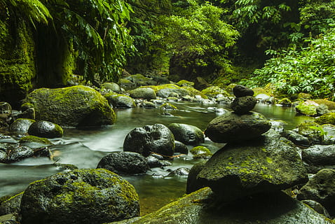 pila, rock, riu, envoltat, arbre, boulder, cascada, medi ambient, flux, bosc, verd, paisatge, molsa, roques molses, moviment, natural, naturalesa, parc, plantes, roques, escènic, pedra, pedres, corrent, arbres, aigua, boscos, sòlid, rock - object, planta, bellesa a la natura, color verd, aigua que flueix, cap gent, escenics - natura, dia, terra, creixement, pedra - objecte, tranquil·litat, rierol: aigua que flueix, que flueix, a l'aire lliure, 4K, CC0, domini públic, lliure de regalies