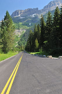 Foto, Straße, umgeben, Bäume, Asphalt, Tageslicht, leeren, Umgebung, Weg, Gras, Autobahn, Berg, Natur, draußen, Transport, Baum, Pflanze, Symbol, die Straßenmarkierung, der Weg nach vorn, Schönheit in der Natur, Zeichen, Markierung, Richtung, Szenen - Natur, Tag, keine Leute, Nicht-städtische Szene, ruhige Szene, Ruhe, abnehmende Perspektive, doppelte gelbe Linie, Gebirge, Trennlinie, 4K, CC0, gemeinfrei, lizenzfrei