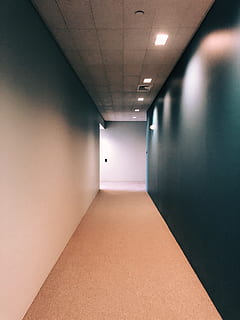 ufficio, illuminato, in casa, caratteristica della parete, attrezzatura per l'illuminazione, architettura, corridoio, portico, soffitto, la strada davanti, direzione, struttura costruita, vuoto, nessuno, luce, costruzione, prospettiva decrescente, luce elettrica, parete, pavimentazione, luce da incasso, apparecchio di illuminazione, lungo, 4K, CC0, dominio pubblico, privo di copyright
