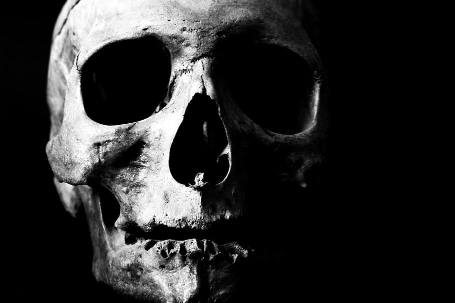 humà, crani, esquelet, os, cap, mort, horripilant, render, por, Halloween, ossos, anatomia, home, cervell, fosc, salut, cos, representació, anatòmica, masculí, gòtic, a l'interior, primer pla, esquelet humà, tir de l'estudi, crani humà, part del cos humà, tirada al cap, fons negre, retrat, fantasmal, part del cos, gent, horror, rostre humà, os humà, 5K