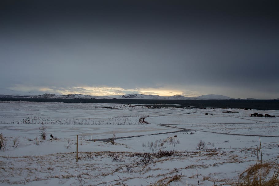 snefelt, udendørs, natur, landskab, panoramisk, jord, sne, fugl, dyr, himmel, sol, is, plateau, daggry, overskyet, mørk, bakker, felter, island, vinter, kold temperatur, rolig scene, scenics - natur, ro, skønhed i naturen, miljø, ikke-urbane scene, dækker, ingen mennesker, hvid farve, Mark, Frosset, idyllisk, snedækket bjerg, 5K