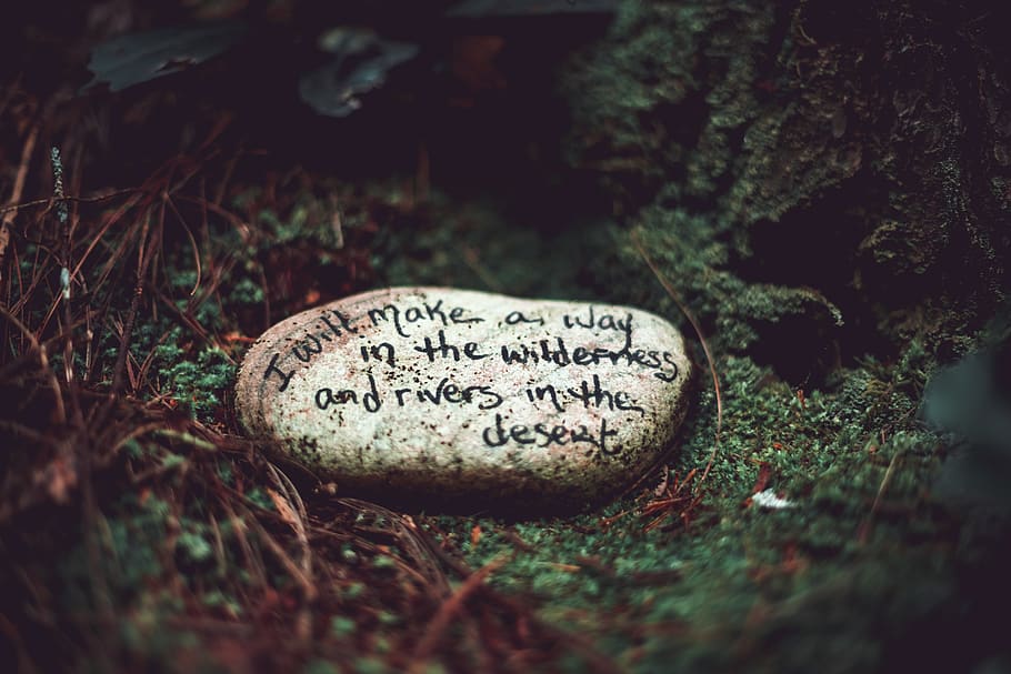 weißer Stein, Text, westliche Schrift, Kommunikation, selektiver Fokus, keine Leute, Nahansicht, Stein, Tag, solide, Natur, Pflanze, Rock, Stein - Objekt, draußen, High Angle View, Land, Emotion, Rock - Objekt, Grab, Feld, Botschaft, 5K