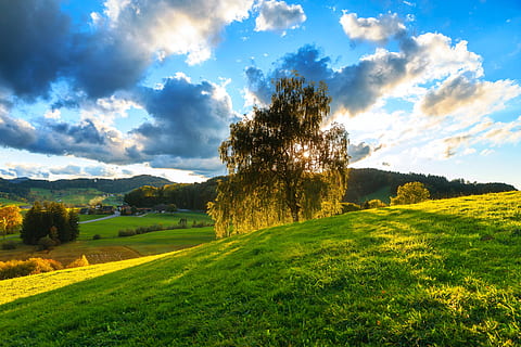 blau, infern, terra, arbre, posta de sol, fons, cel, verd, prat, descans, naturalesa, paisatge, planta, núvol - cel, bellesa a la natura, escena tranquil·la, color verd, herba, tranquil·litat, medi ambient, escenics - natura, camp, creixement, cap gent, escena no urbana, llum solar, dia, a l'aire lliure, 5K, CC0, domini públic, lliure de regalies