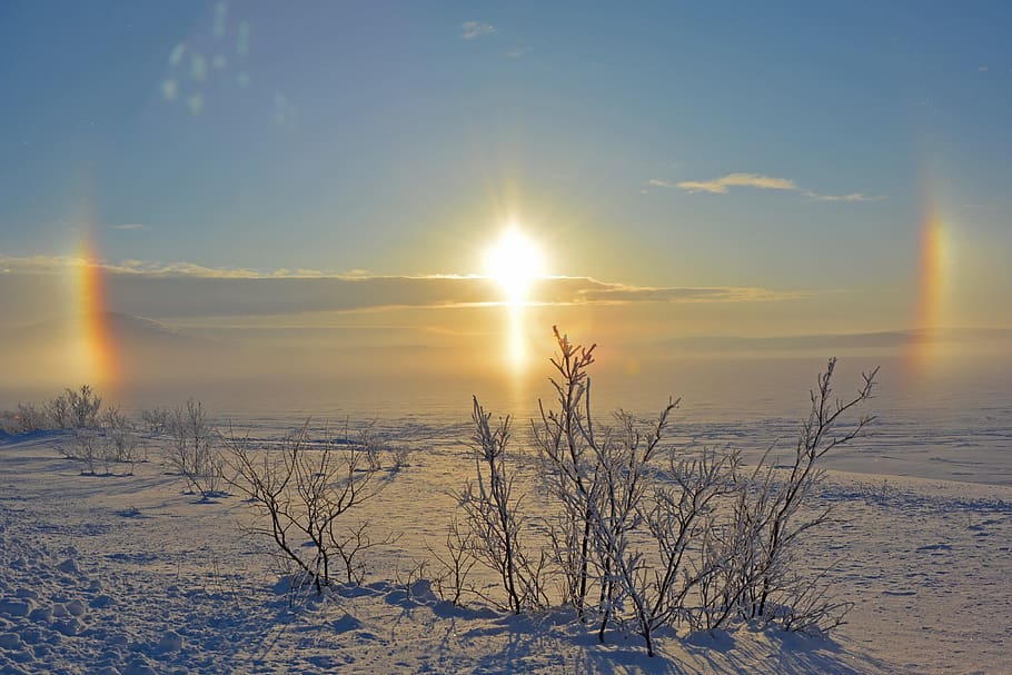 hivern, sol, el sol brillant, neu, paisatge, naturalesa, cel, fred, assolellat, gelades, blanc, viatjar, halo, l’efecte halo, tres sols, desert de neu, viatjant, nord, bellesa a la natura, temperatura de fred, escenics - natura, llum solar, posta de sol, tranquil·litat, escena tranquil·la, raig de sol, flare de la lent, cap gent, terra, cobertura, escena no urbana, medi ambient, a l'aire lliure, brillant, 4K