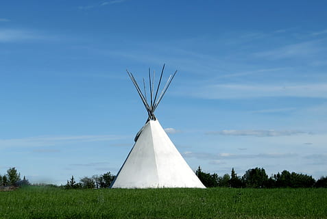 tipi, telt, indfødte, indianer, hjemmehørende, kulturel, tradition, lejr, indian, ly, himmel, prærie, græs, Canada, Saskatchewan, aboriginal, plante, Mark, jord, natur, miljø, landskab, sky - himmel, dag, ingen mennesker, ro, skønhed i naturen, hvid farve, scenics - natur, grøn farve, blå, træ, sollys, udendørs, 4K, CC0, offentligt domæne, royaltyfrie