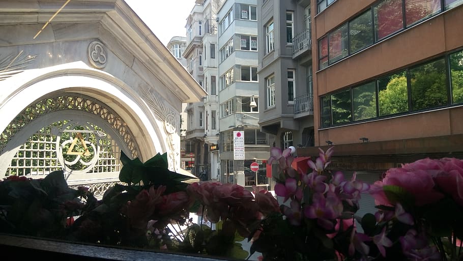 gall dindi, taksim, estructura construïda, arquitectura, flor, planta, exterior de l'edifici, planta amb flors, edifici, dia, naturalesa, finestra, bellesa a la natura, a l'aire lliure, color rosa, cap gent, frescor, ciutat, fragilitat, arc, vulnerabilitat, bouquet, arranjament floral, 4K