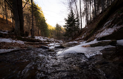 arroyos, árboles forestales, frío, ambiente, fluir, bosque, hielo, paisaje, larga exposición, montaña, naturaleza, parque, rocas, escénico, nieve, corriente, lapso de tiempo, arboles, agua, mojado, invierno, árbol, planta, nadie, belleza en la naturaleza, tranquilidad, tierra, paisajes - naturaleza, día, rock, tronco de arbol, el maletero, cielo, al aire libre, escena tranquila, descargando, agua que fluye, corriente - agua que fluye, fluido, nivel de la superficie, 5K, CC0, dominio público, libre de derechos