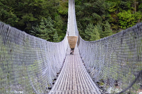 pont suspendu, pont, bâtiment, pont de corde, la nature, tourisme, trekking, randonnée, Voyage, homme, travail, Népal, ouvrier, forêt, chemin, passerelle, Piste, corde, promenade, arbre, plante, structure construite, lien, direction, la voie à suivre, architecture, journée, transport, pont - structure artificielle, perspective décroissante, terre, personne, en plein air, 4K, CC0, domaine public, libre de droits