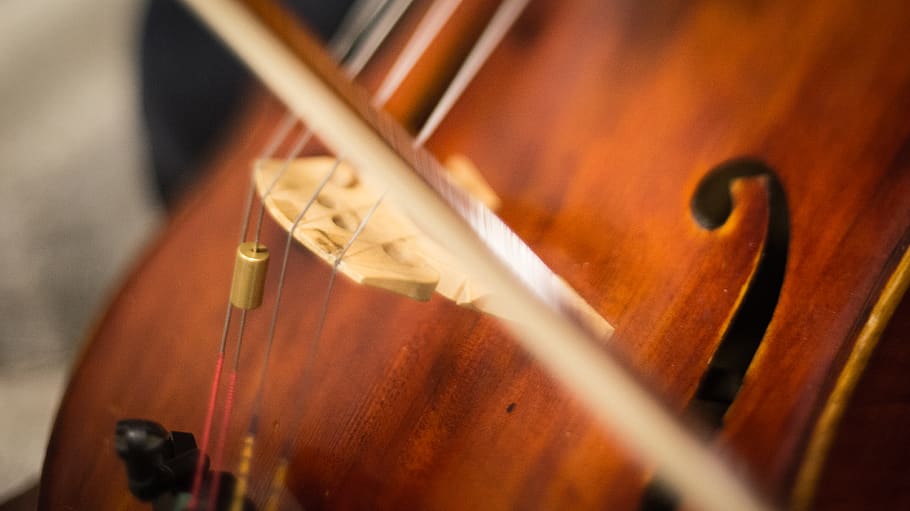 violoncello, stringa, HK, musica, strumento, strumento a corda, strumento musicale, legno - materiale, violino, cultura artistica e intrattenimento, attrezzatura musicale, stringa di strumenti musicali, musica classica, avvicinamento, Marrone, messa a fuoco selettiva, arco - materiale musicale, in casa, prestazione, musicista, antico, girato in studio, violoncellista, stile classico, contrabbasso, 4K