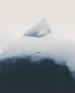 nero, uccello, volo, giorno, montagna, nube, nuvoloso, nebbia, foschia, picco, superiore, volare, minimalista, minimalismo, minimo, scenario, paesaggio, belle Arti, gabbiano, Norvegia, nebbioso, buio, natura, volante, sport estremi, cielo, all'aperto, mare, nuvola - cielo, blu, animale, la neve, inverno, avventura, Paesaggi, azione, ghiaccio, vento, bianca, 2K, CC0, dominio pubblico, privo di copyright