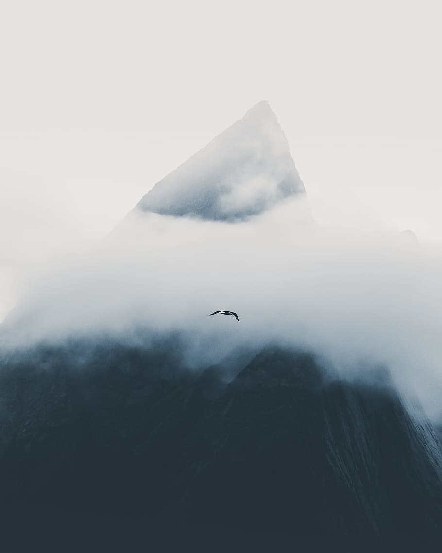 nero, uccello, volo, giorno, montagna, nube, nuvoloso, nebbia, foschia, picco, superiore, volare, minimalista, minimalismo, minimo, scenario, paesaggio, belle Arti, gabbiano, Norvegia, nebbioso, buio, natura, volante, sport estremi, cielo, all'aperto, mare, nuvola - cielo, blu, animale, la neve, inverno, avventura, Paesaggi, azione, ghiaccio, vento, bianca, 2K