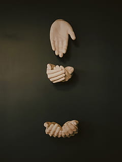 decorazione mani umane, animale, vita marina, dito, invertebrato, mollusco, conchiglia, cibo, patatine fritte, oro, mano, punta di freccia, dito del piede, bronzo, pane, in casa, interior design, croissant, animale di spugna, gancio, girato in studio, mano umana, sfondo nero, copia spazio, cibo e bevande, avvicinamento, parte del corpo umano, ritagliare, una persona, benessere, freschezza, natura morta, mangiare sano, assistenza sanitaria e medicina, direttamente sopra, 4K, CC0, dominio pubblico, privo di copyright